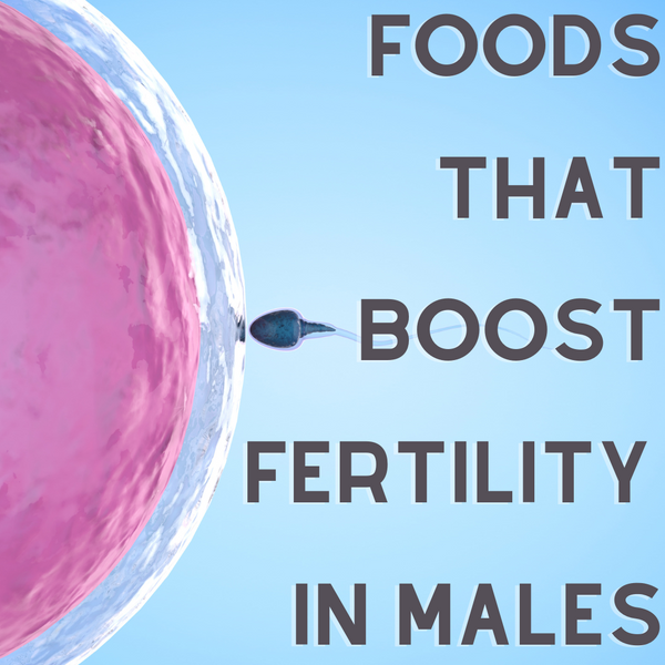 Top African Foods That Boost Fertility In Males