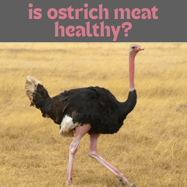Is Ostrich Meat Healthy? 7 Nutritional Benefits For Health-Conscious Eaters