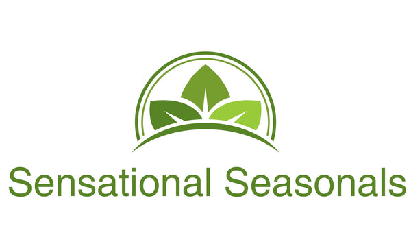 Sensational Seasonals