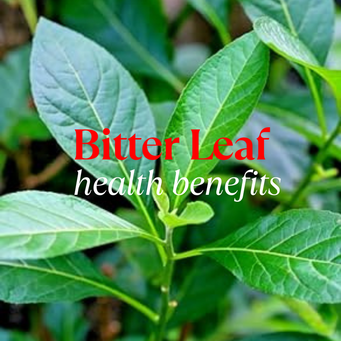 Bitter Leaf Has Been Fighting Malaria and Gut Trouble for Centuries — Here's What You’ve Been Missing