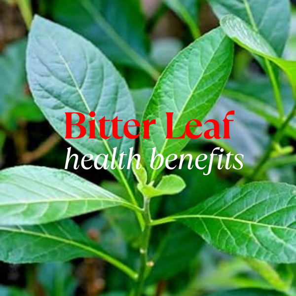 Bitter Leaf Has Been Fighting Malaria and Gut Trouble for Centuries — Here's What You’ve Been Missing