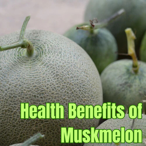 6 Health Benefits of Muskmelon; You Should Try This Delicious Superfood!