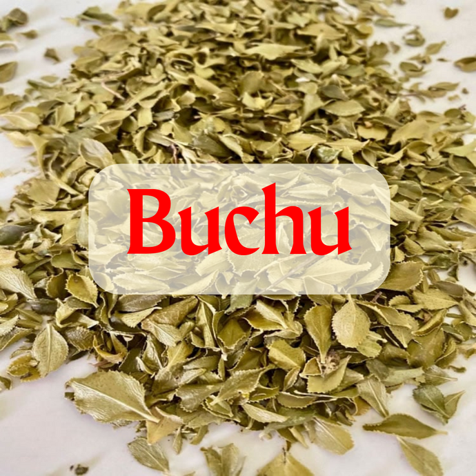 Buchu Leaf Benefits: The Ancient African Detox That’s Still Healing Today
