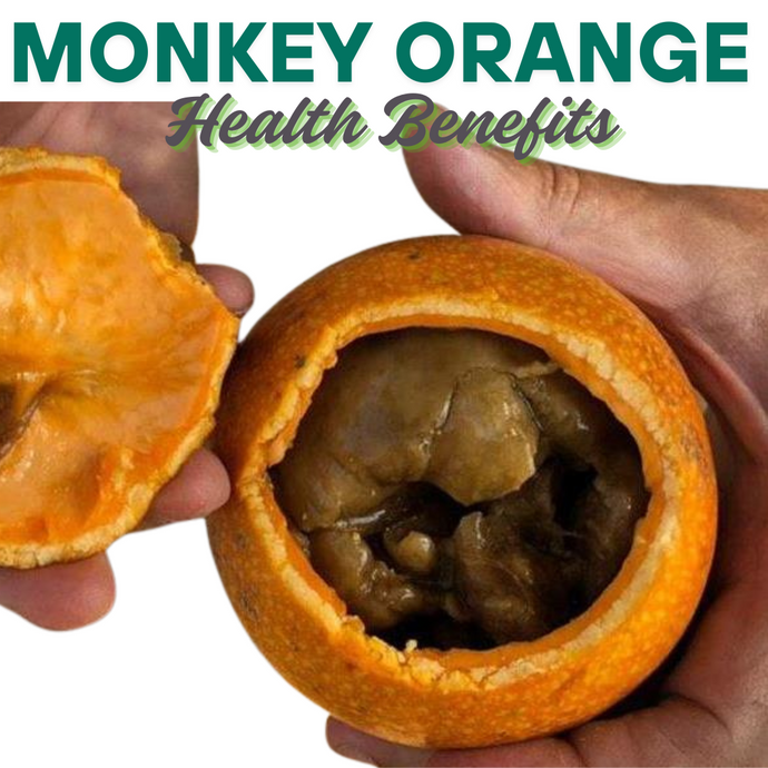 This Wild Fruit Is A Clever Way Traditional Communities Boost Nutrition With Their First Meal Of The Day — No Supplements Needed