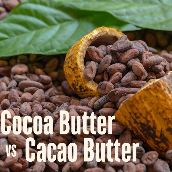 Cocoa Butter vs Cacao Butter: Exploring the Differences, Benefits, and Uses