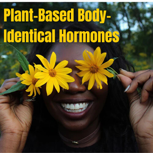 Plant-Based Body-Identical Hormones: 13 Natural Solutions for Women’s Menopause and Testosterone Balance