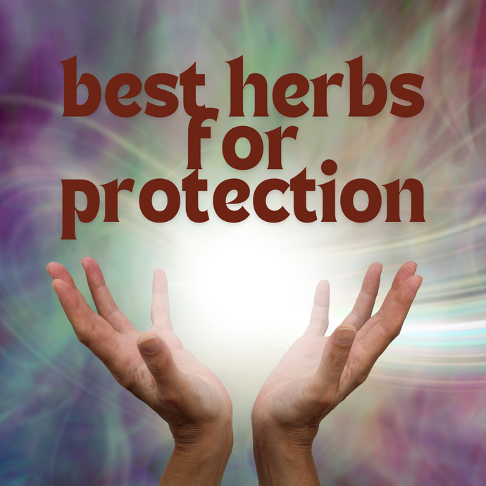 These Are Some Of Africa's Best Herbs For Protection - What You Need To Know