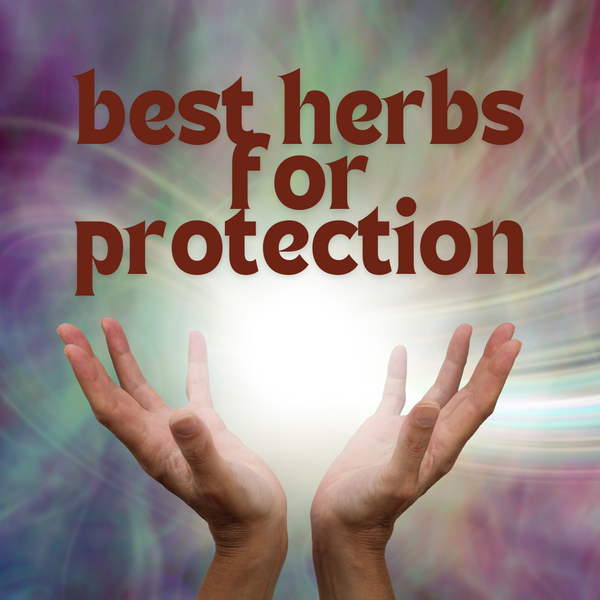 These Are Some Of Africa's Best Herbs For Protection - What You Need To Know