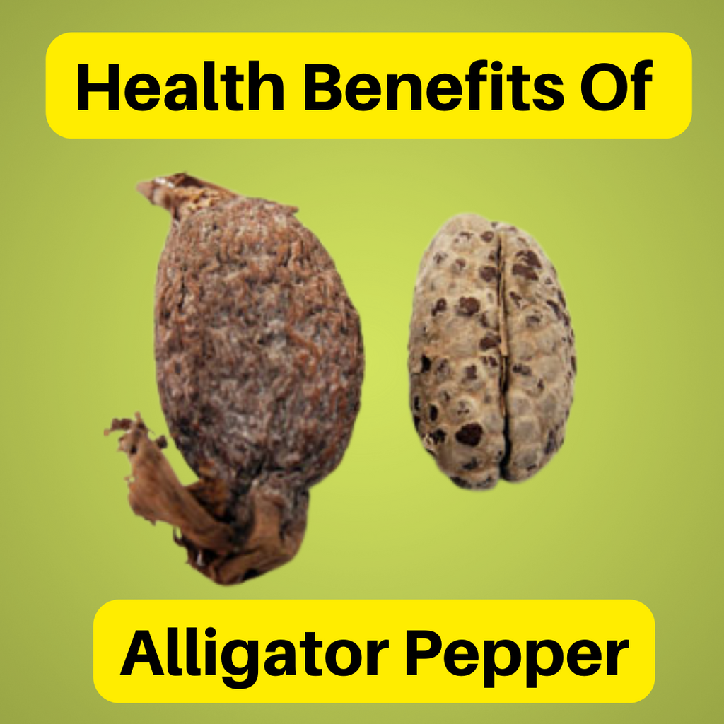 9 Amazing Health Benefits of Alligator Pepper You Need To Know ...