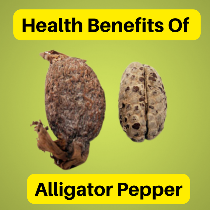 9 Amazing Health Benefits of Alligator Pepper You Need To Know!