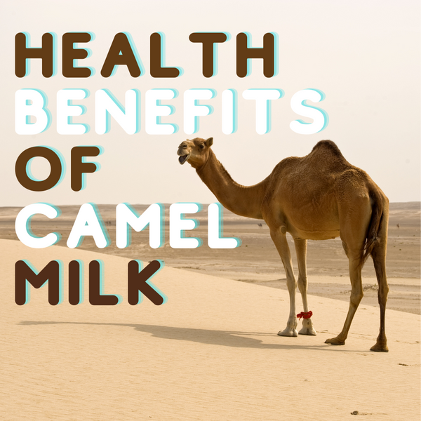 12 Remarkable Health Benefits Of Camel Milk