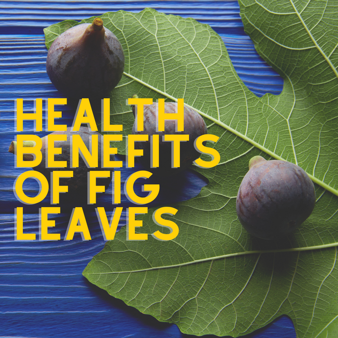 25 Amazing Health Benefits Of Fig Leaves To Improve Your Wellbeing